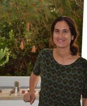 Liraz Chai Liraz Chai photo